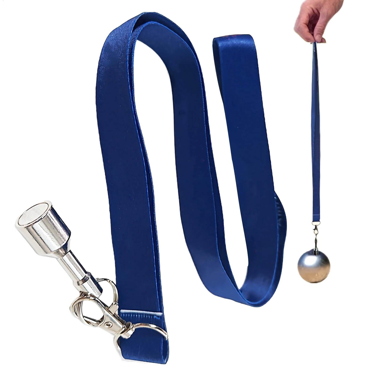 Bocce Balls Picker Set Secure  - Home Security Training review and price