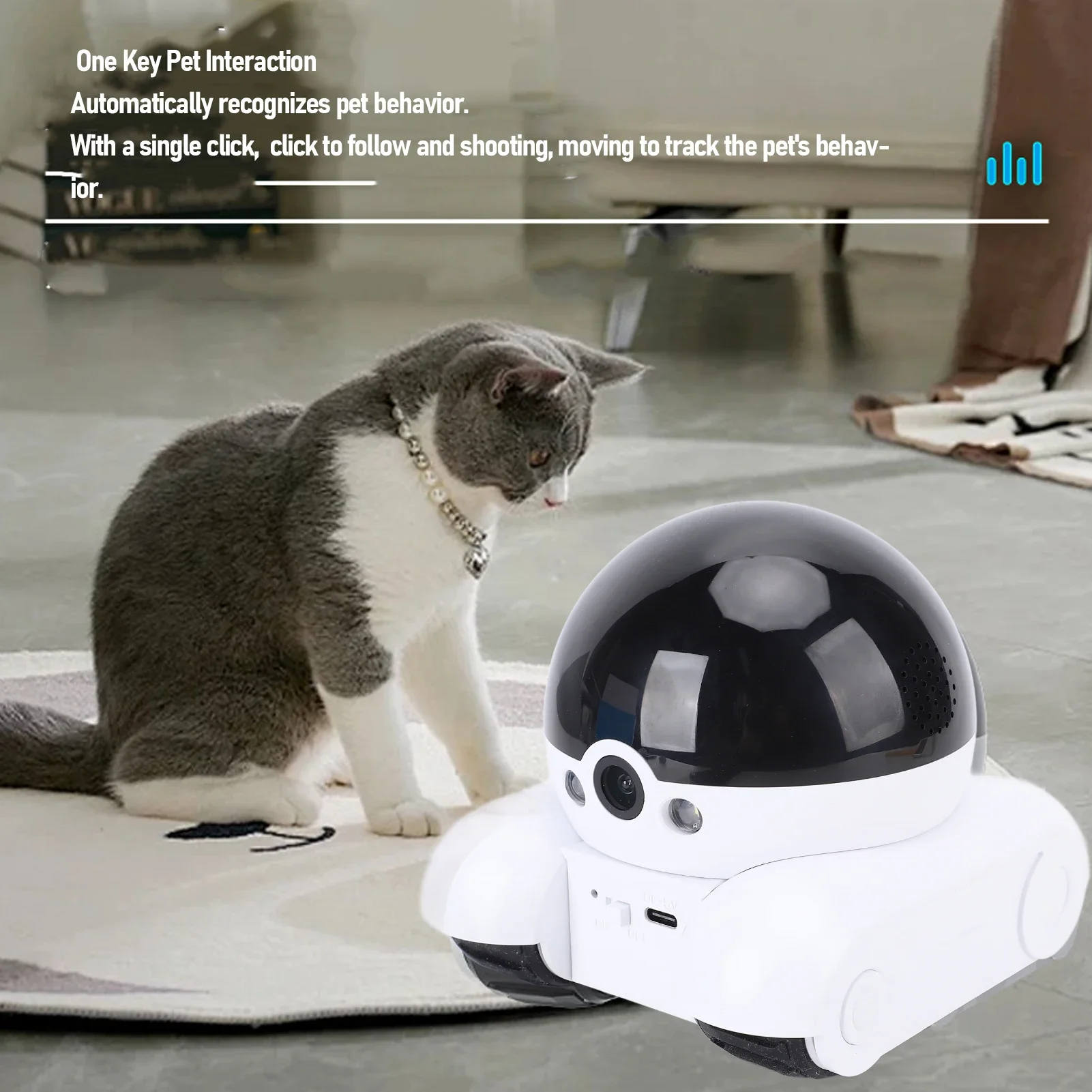 Indoor Security Camera 2MP Dou - Home Security Images review and price