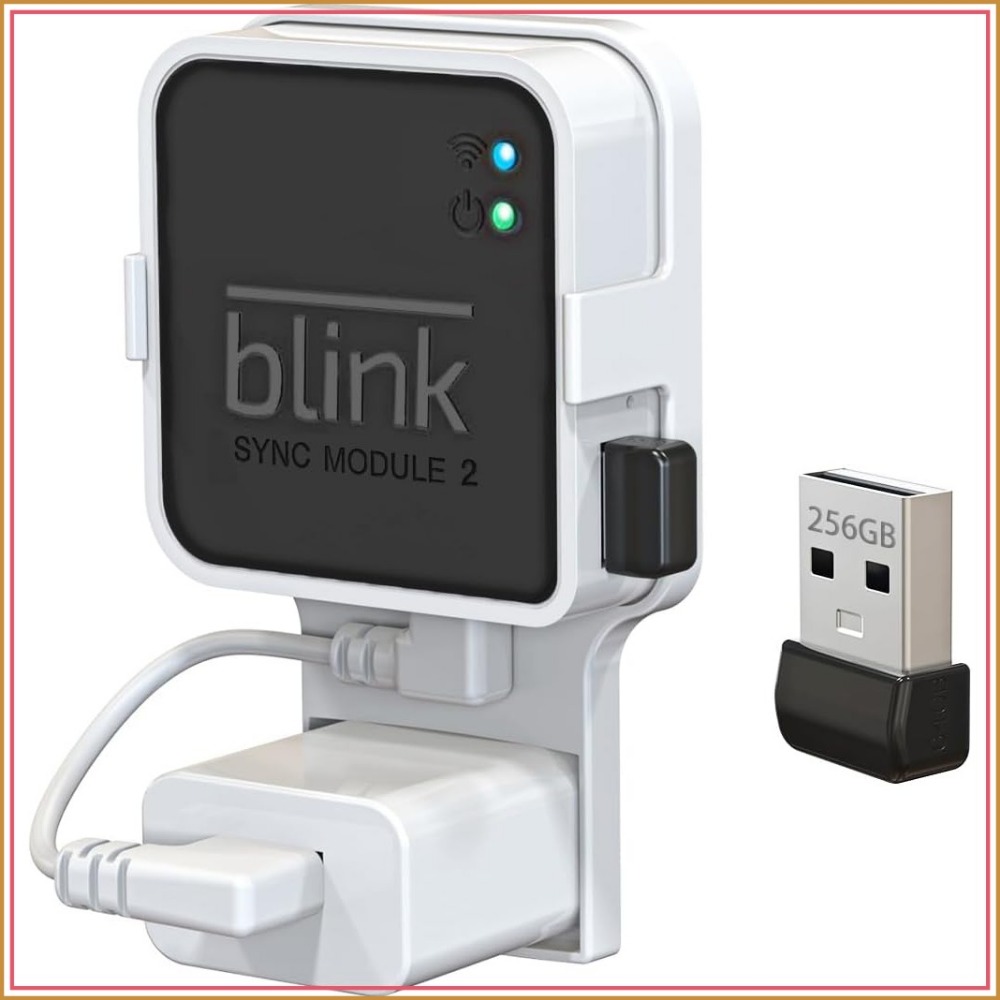256GB USB Flash Drive with Out - Home Security Images review and price
