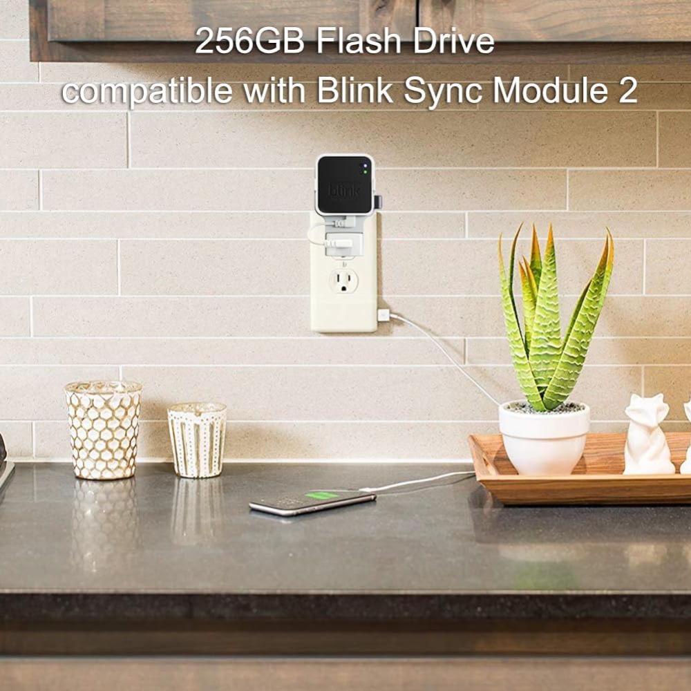 256GB USB Flash Drive with Out - Home Security Images review and price