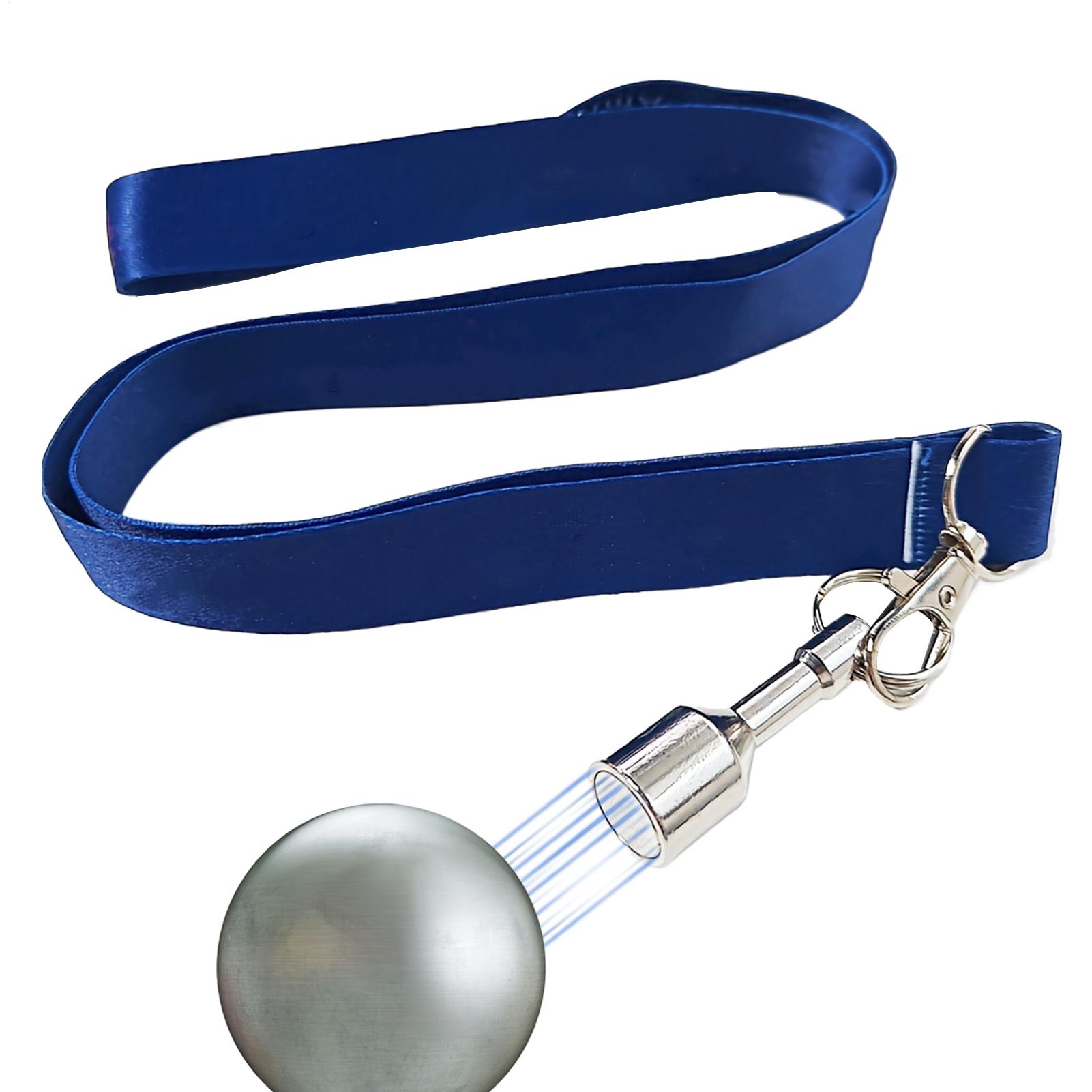 Bocce Balls Picker Set Secure  - Home Security Training review and price