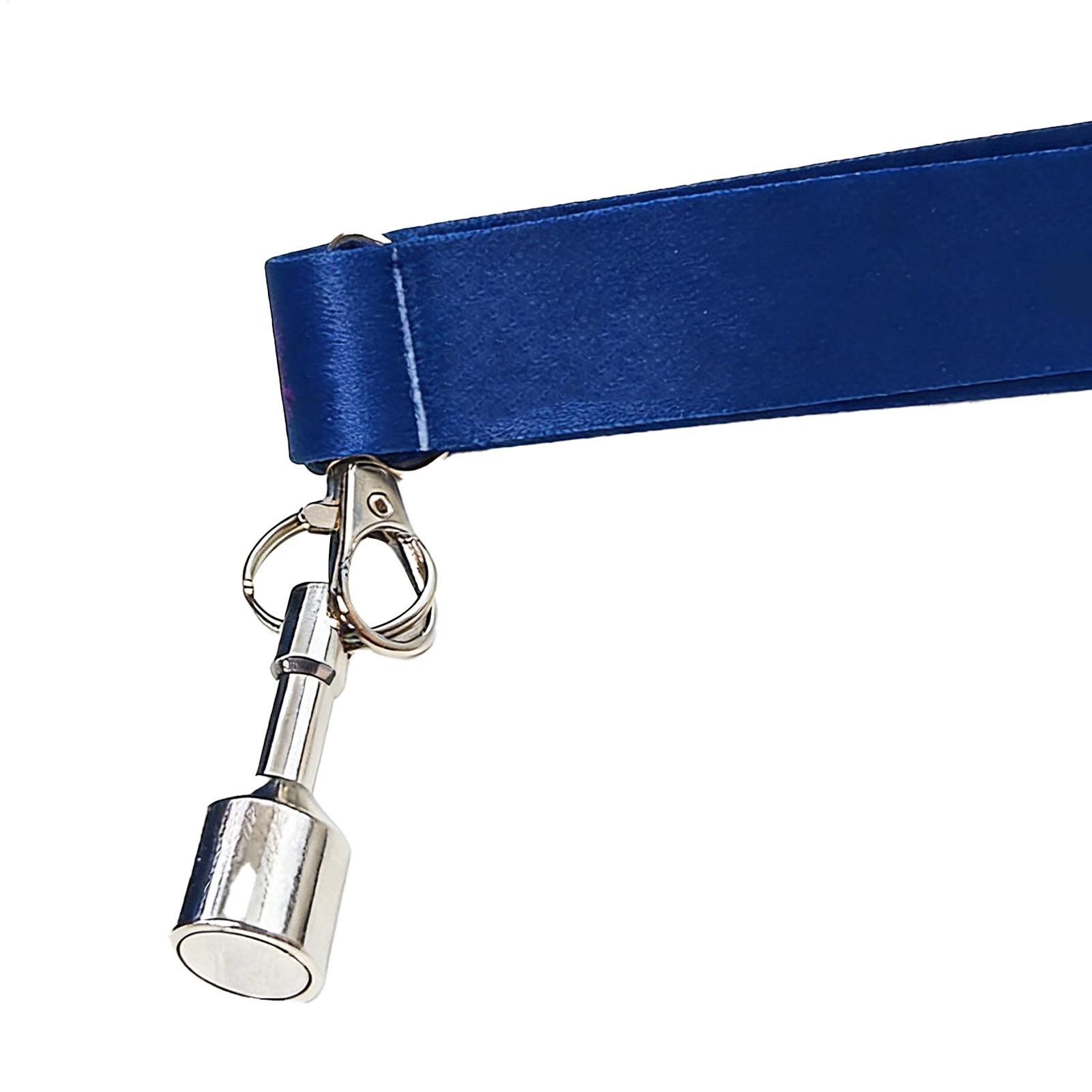 Bocce Balls Picker Set Secure  - Home Security Training review and price