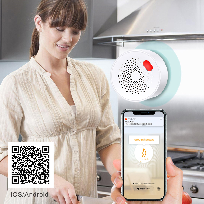 Tuya Smart Home Wifi Natural G - Home Security Gadgets review and price