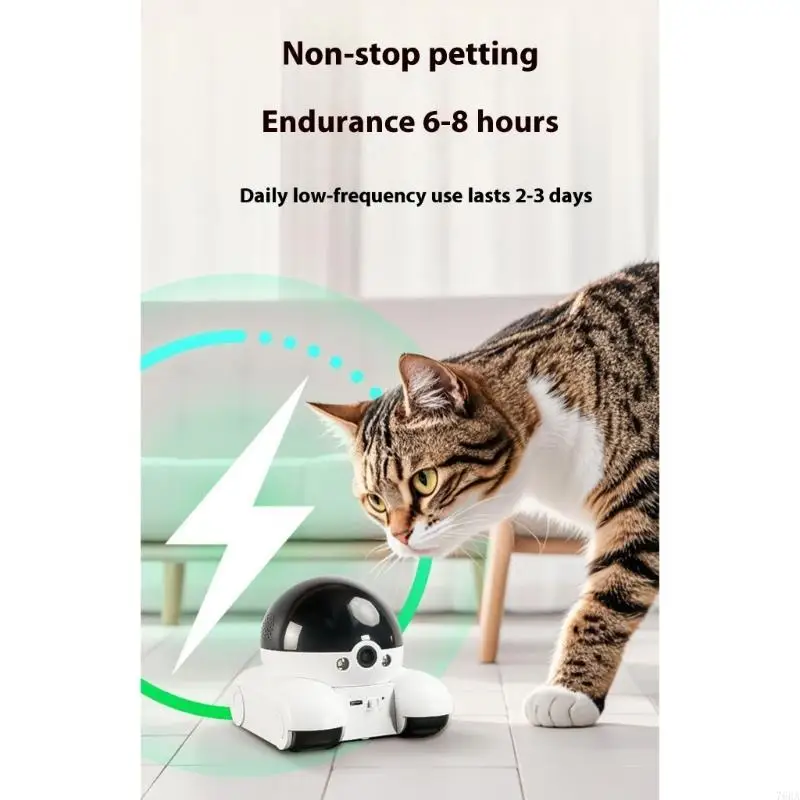 360 Degree Rotating Pet Camera - Home Security Training review and price